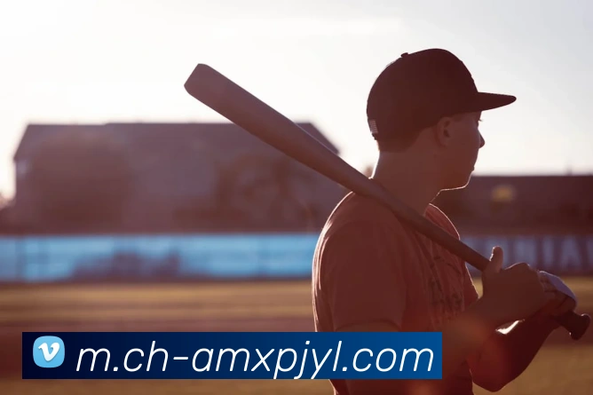 澳门新葡京娱乐平台生态图