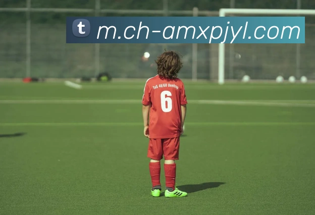 辅助工具 辅助工具